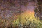 Claude Monet Water Lilies at Sunset oil painting picture wholesale